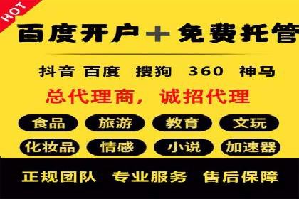 SEM代理案例：揭秘成功背后的秘密